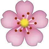 深化行业认知，共谋发展新篇——中煤蒙大公司特邀孙惠民授课经济信息咨询